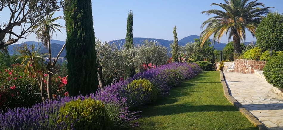 Création et Aménagement jardin à Cannes